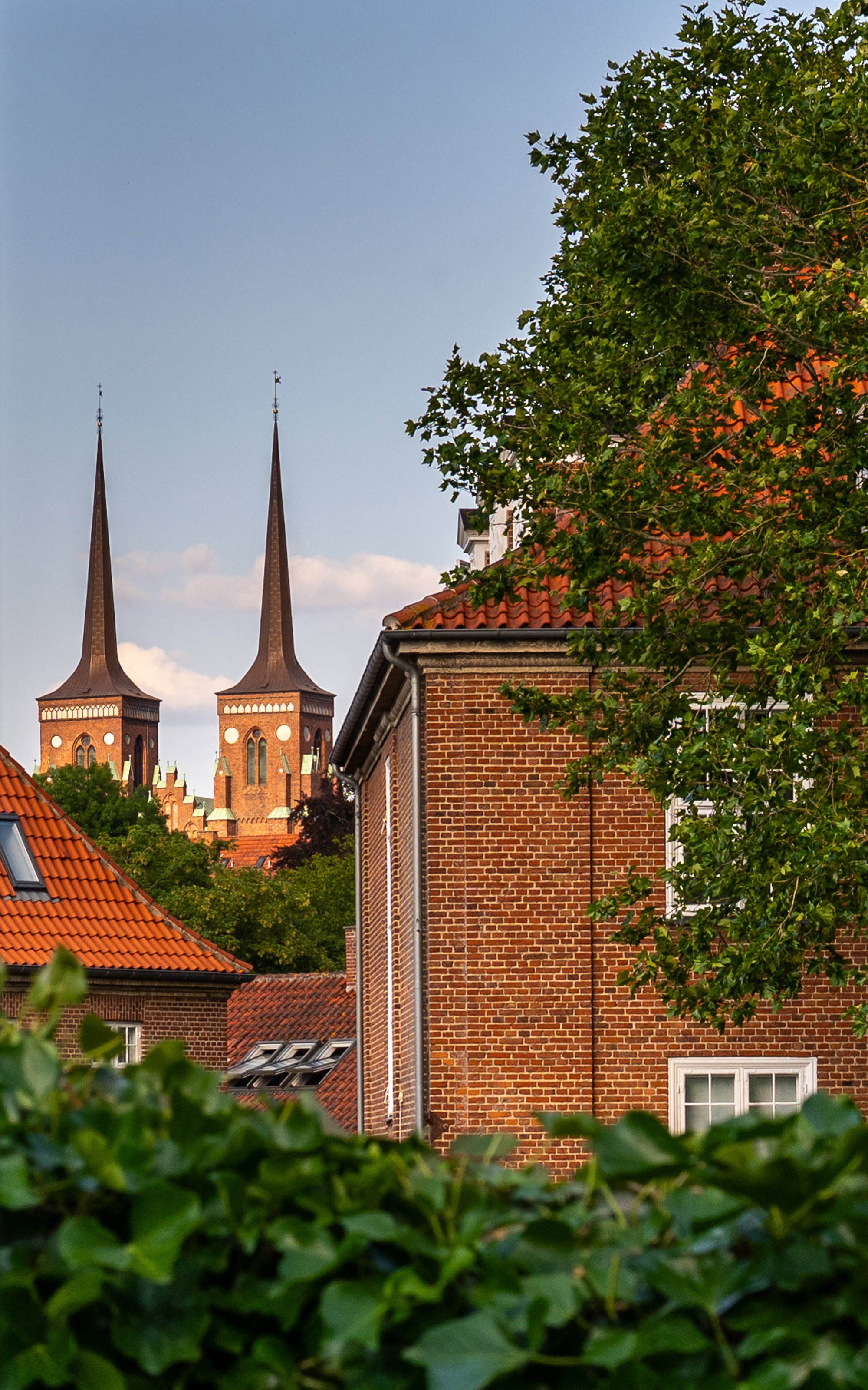 Duebrødrevej 1D, 4000 Roskilde - Billed