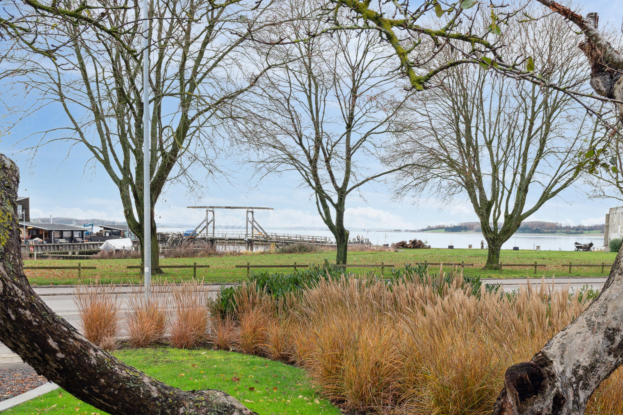 Set fra haven