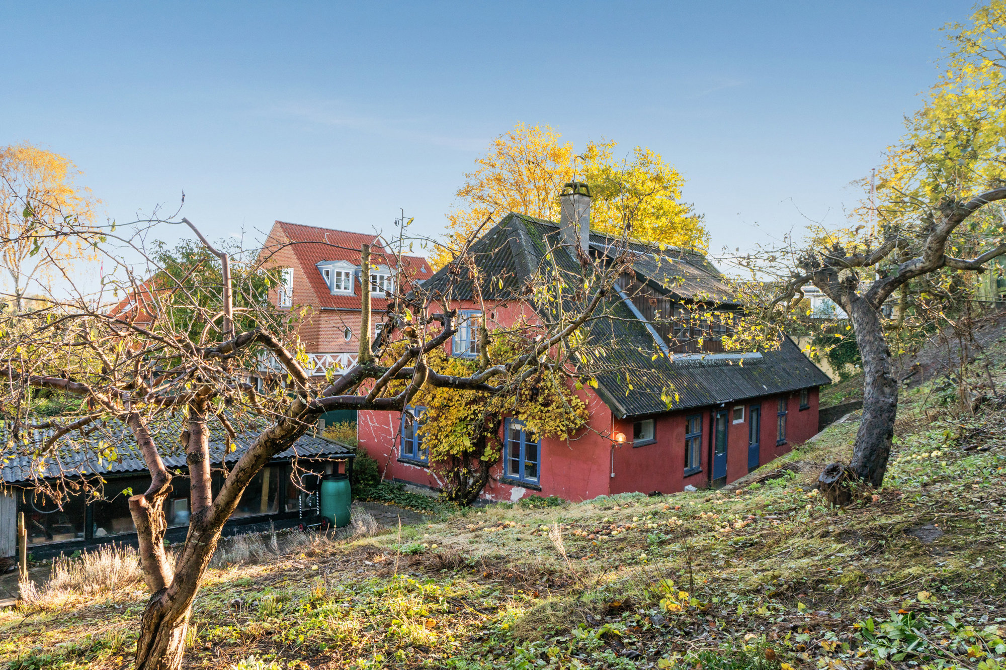 Set fra haven