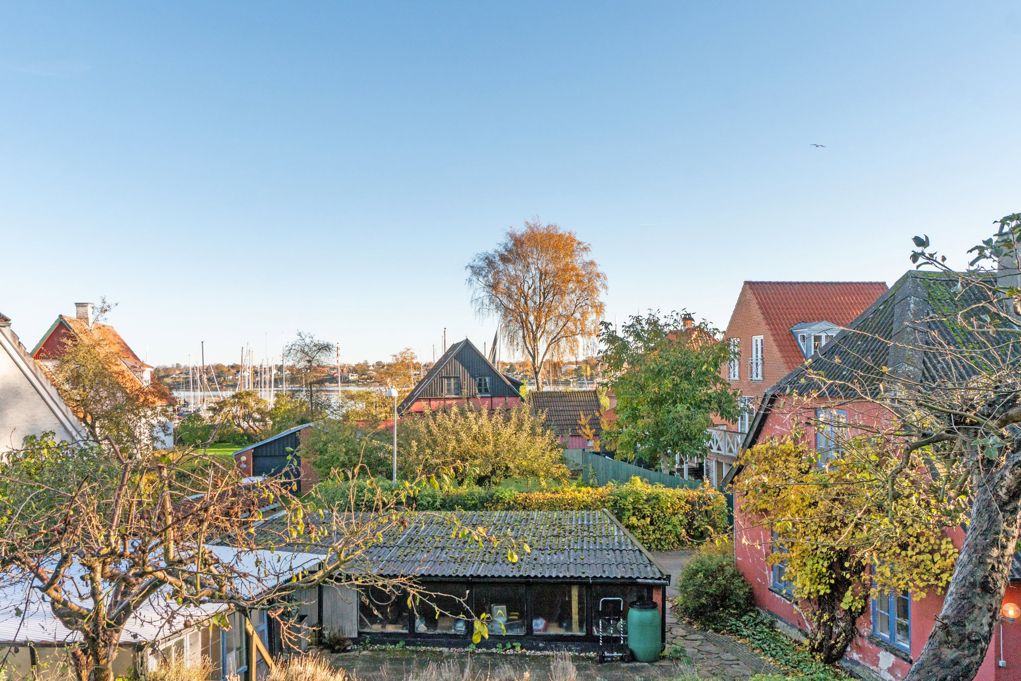 Set fra haven