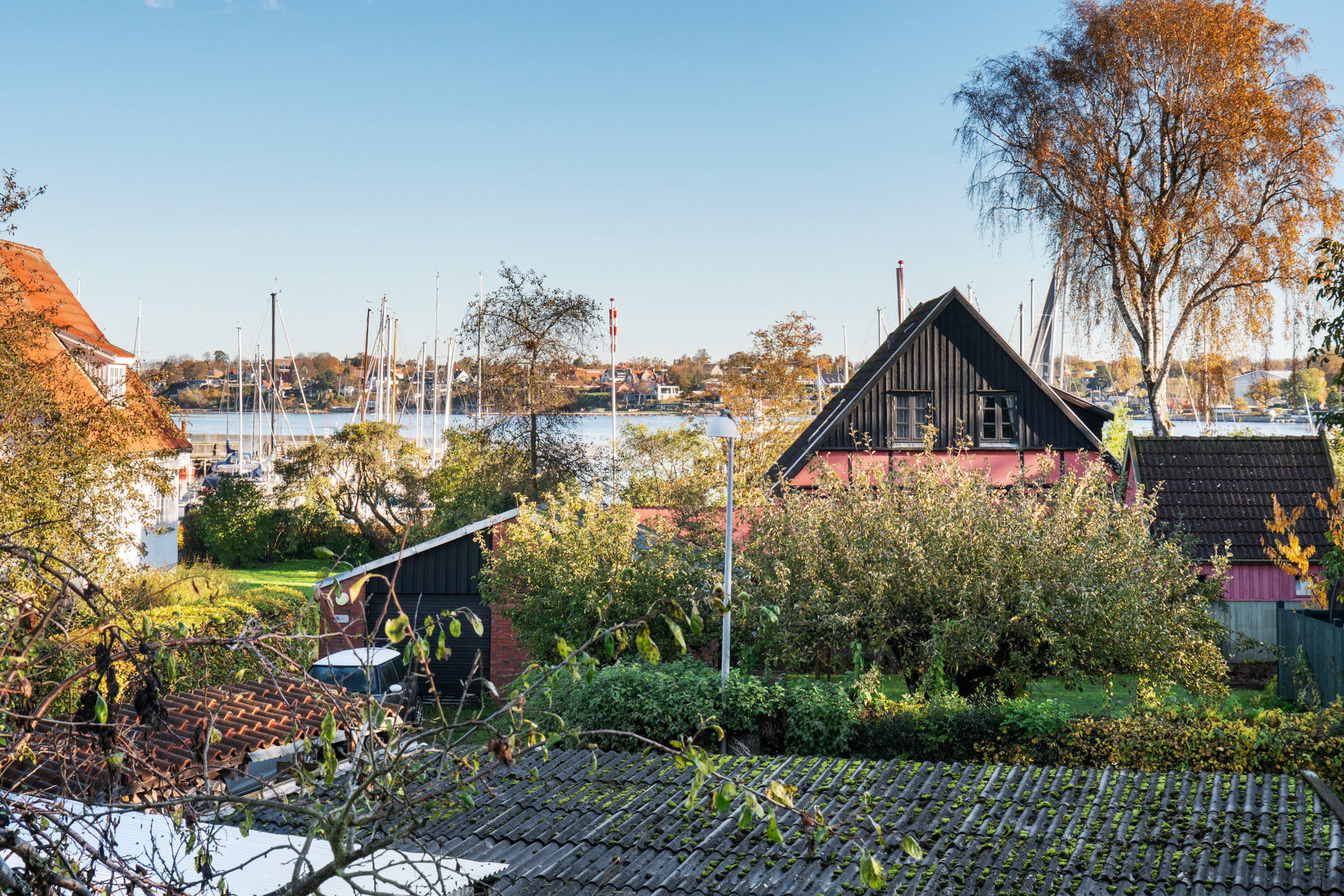 Set fra haven
